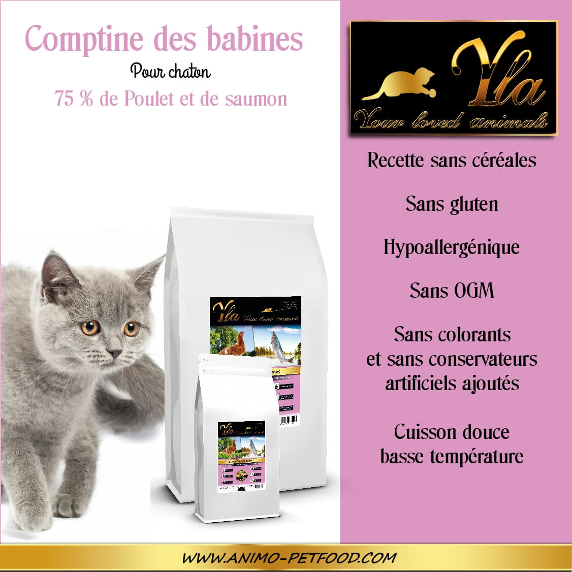 alimentation-sans-cereale-ni-gluten-pour-chaton